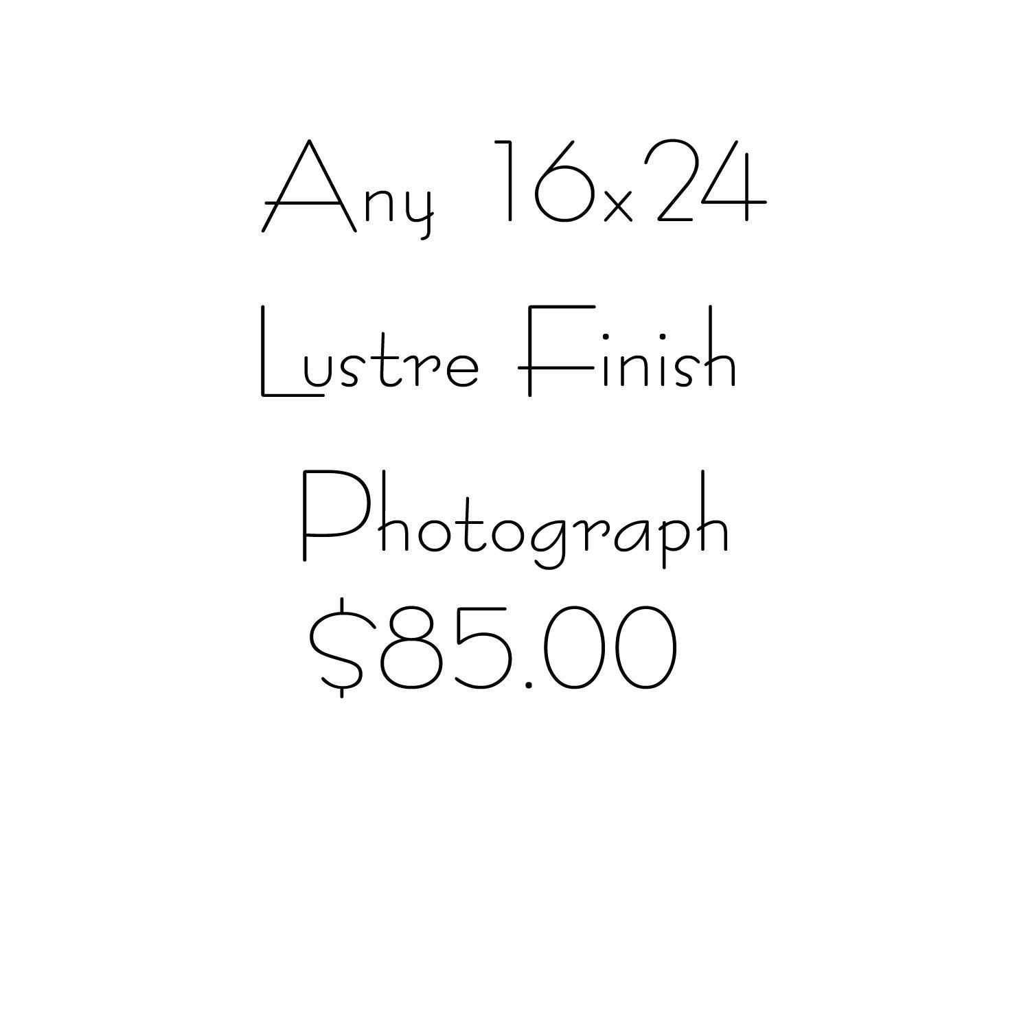 Custom Size, Wall decor, photography - 16x24 Fine Art Photograph