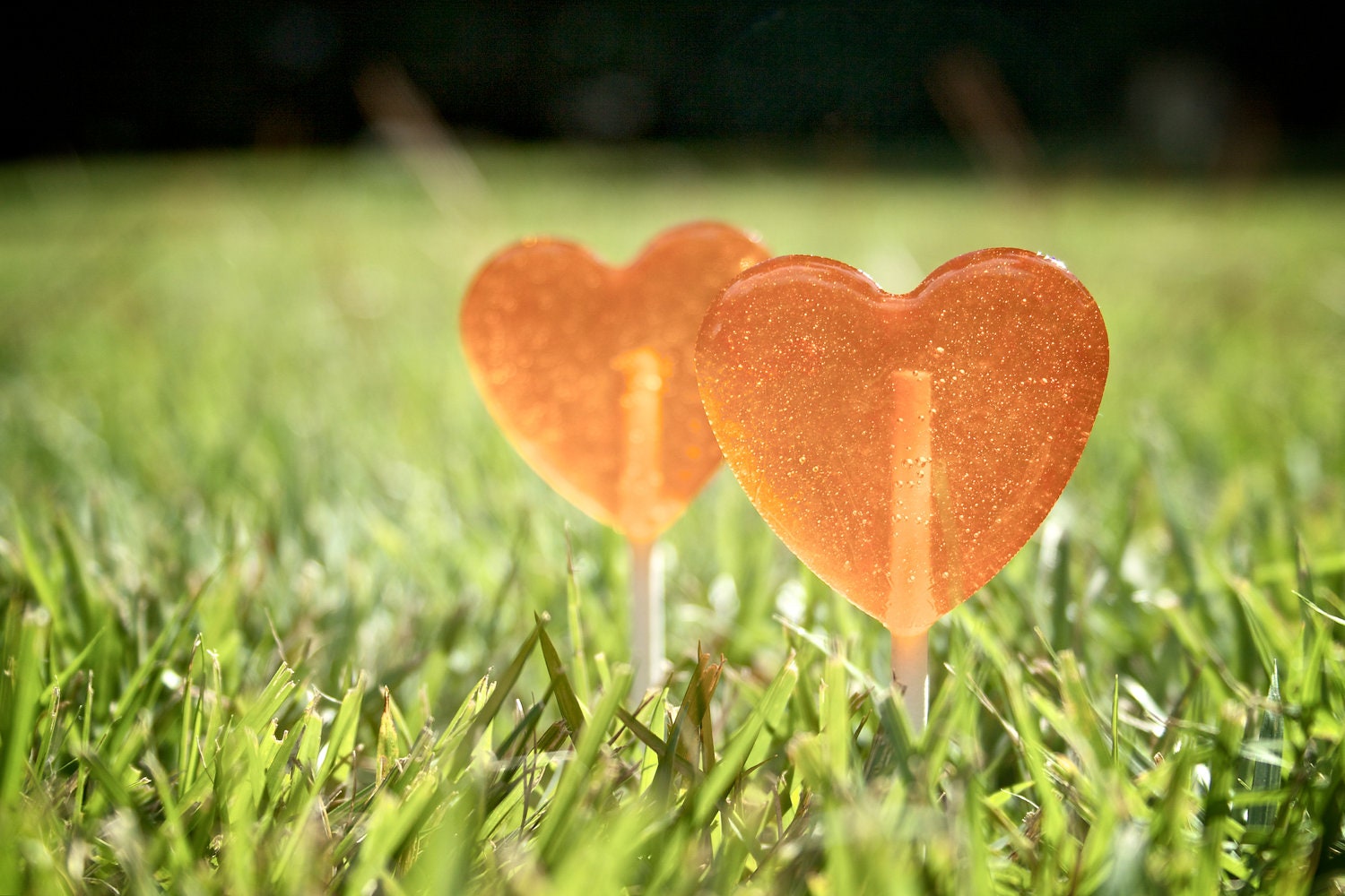 Orange Soda Lollipops -  6 Lollipops - Perfect little kiss from the Sun - Weddings Birthdays Gifts - Complete with Custom Labels