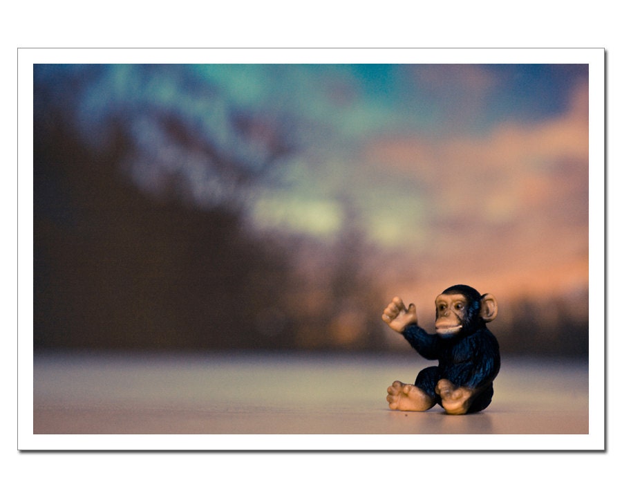 Nursery Decor, Chimp Monkey Art Print, Kids Room Still Life Photograpy, Farewell Sun 8x12 back to school circus