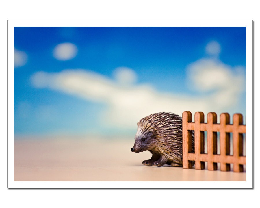 Nursery Decor, Life Like Porcupine Toy Photography, Kids Room Still Life Photography, Porcupine 8x12 back to school circus