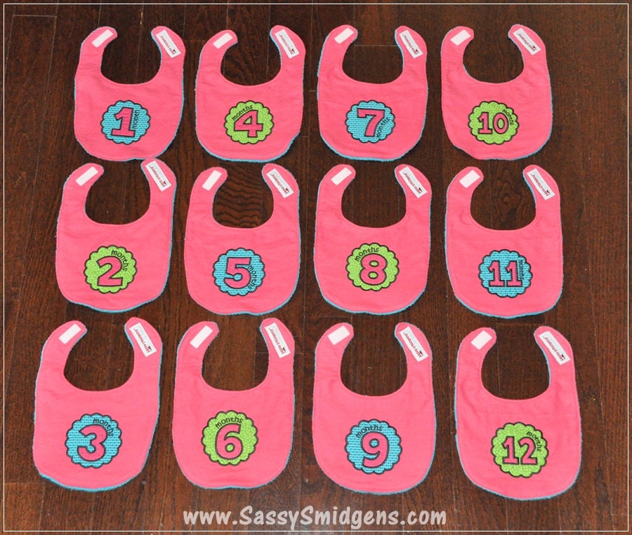 Monthly Birthday Bibs