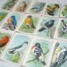 Vintage Useful Birds Of America Ninth Series Collectors Cards Complete Set