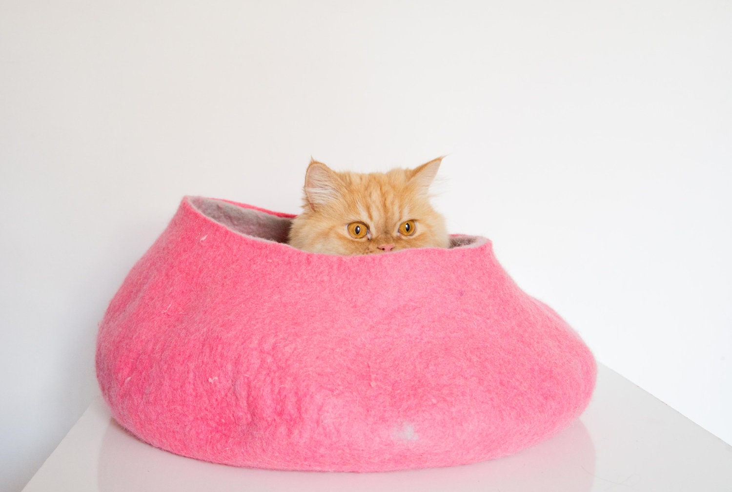 pink fuchsia, pets cat bed, pink hot, dog house - Storow