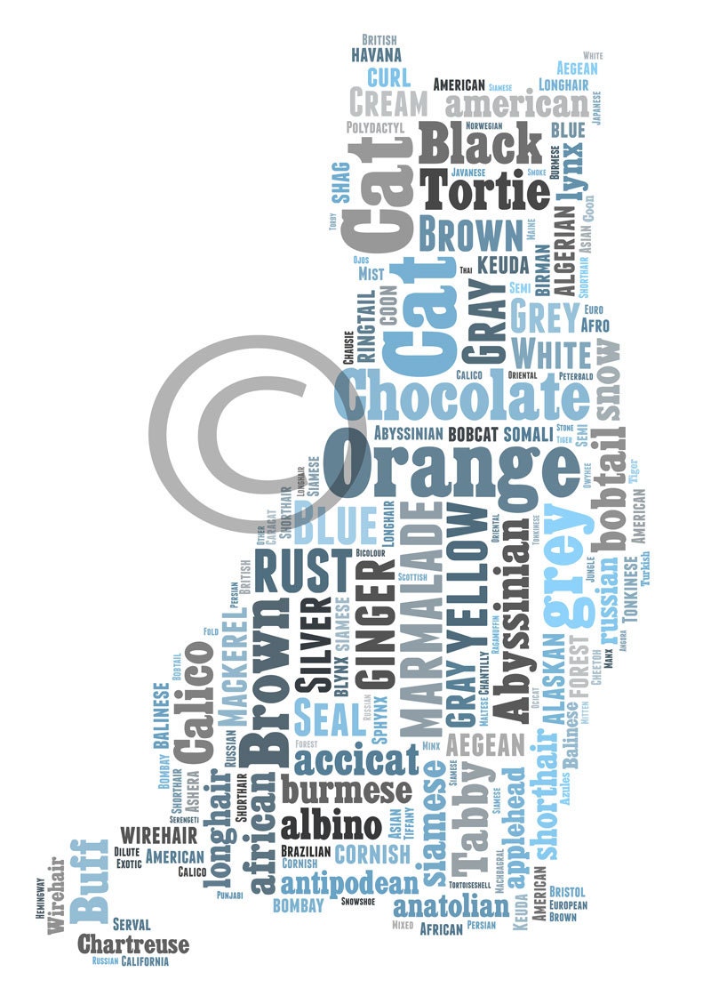 Cat Typography 5x7 inches Matte Multicolor Art Print