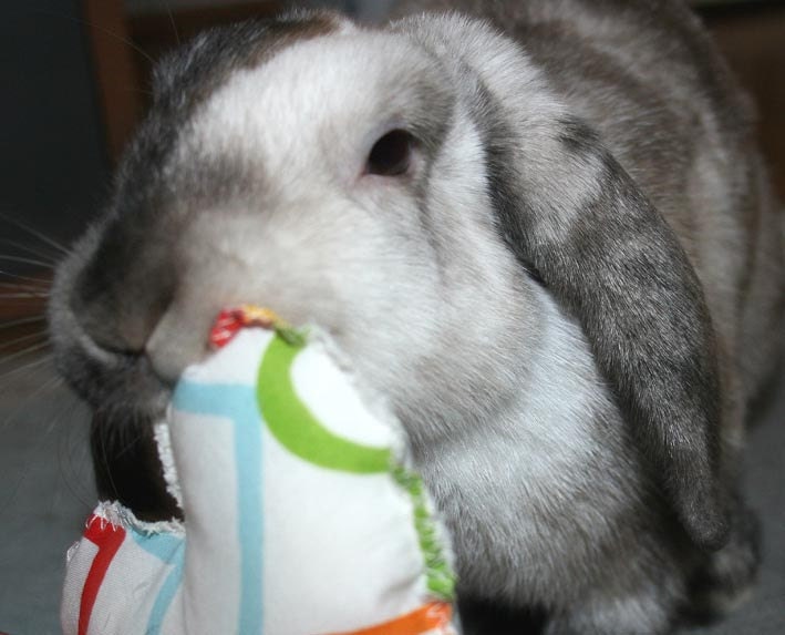 bunny toss and carry toy with bell and wool stuffing soft cotton heart shaped
