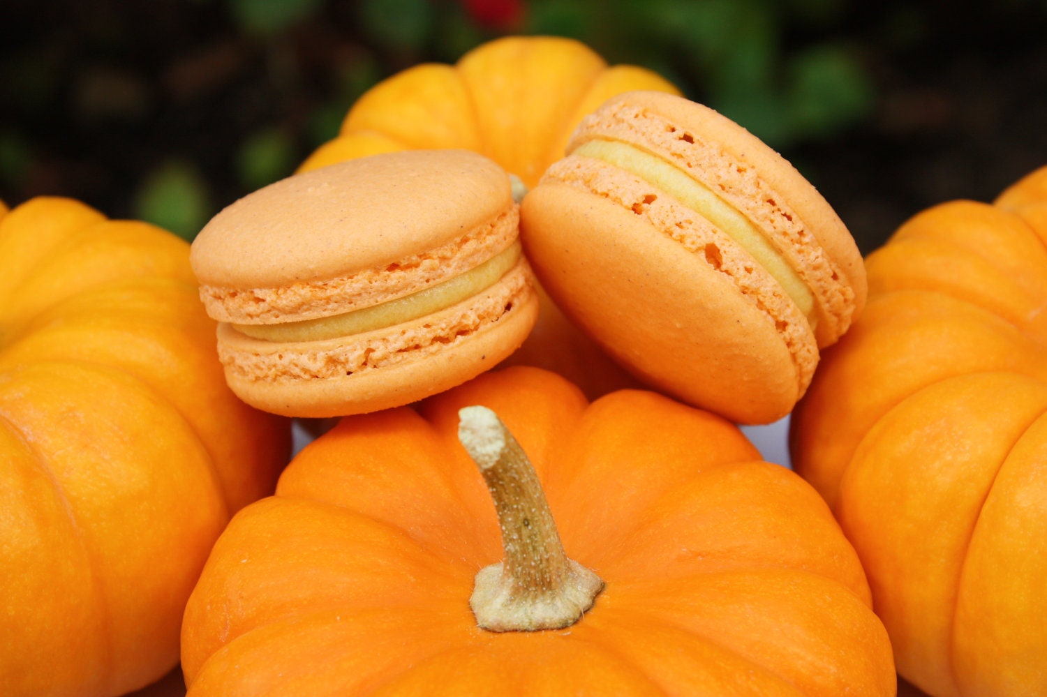 Pumpkin Pie French Macaron - Halloween, Thanksgiving Cookies Macarons