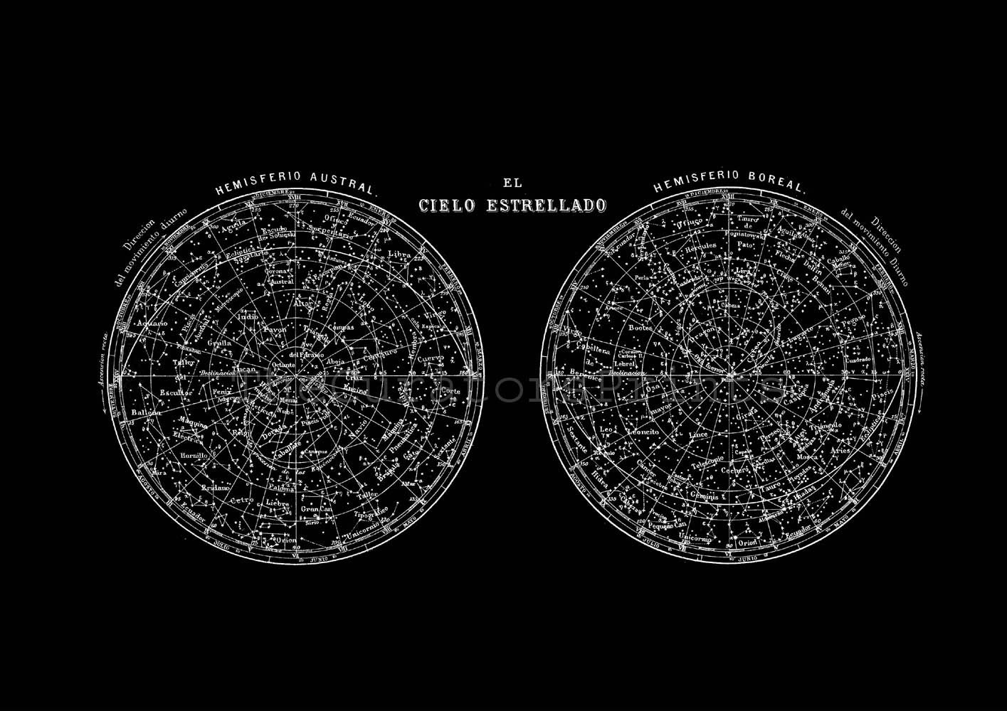 Celestial Map - Constellations of the Northern and Southern Hemisphere  Print Vintage Image