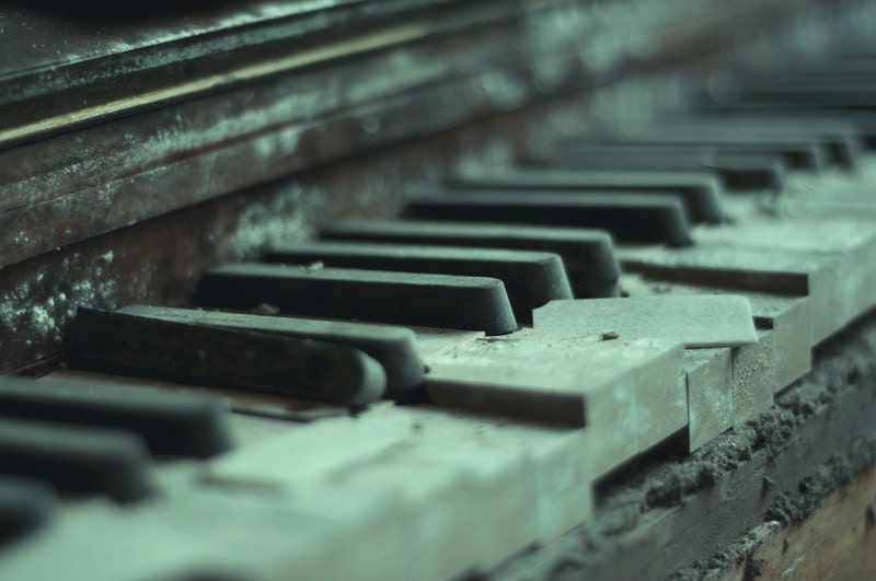 Play Me A Little Tune -  Photographic Print by James Charlick