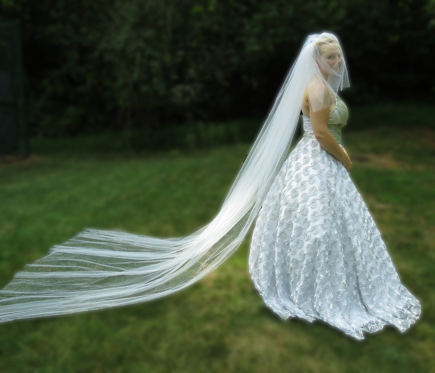 Cathedral Length Wedding Veil with Blusher, Two Tiered Long Tulle