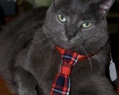 Cameron Tartan