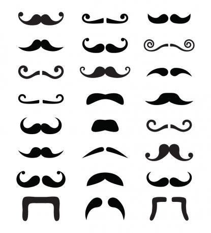 Mustache decals, sheet of 24 different mustaches, vinyl mustache