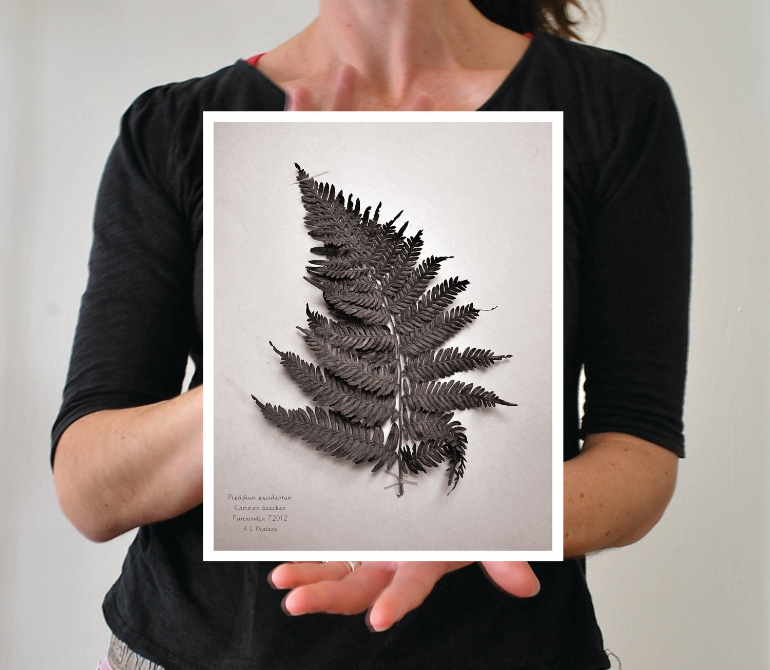 Common bracken fern botanical print 8x10 with white border