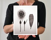 Native collage no 2 botanical photo 8x10