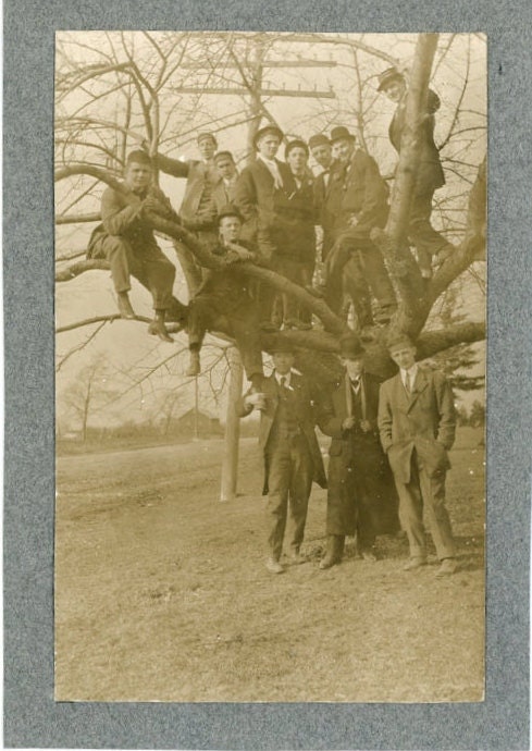 Vintage Photo "Tree Keepers", Photography, Paper Ephemera, Snapshot, Old Photo, Collectibles - 0064