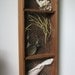 Shadow Box with Glass