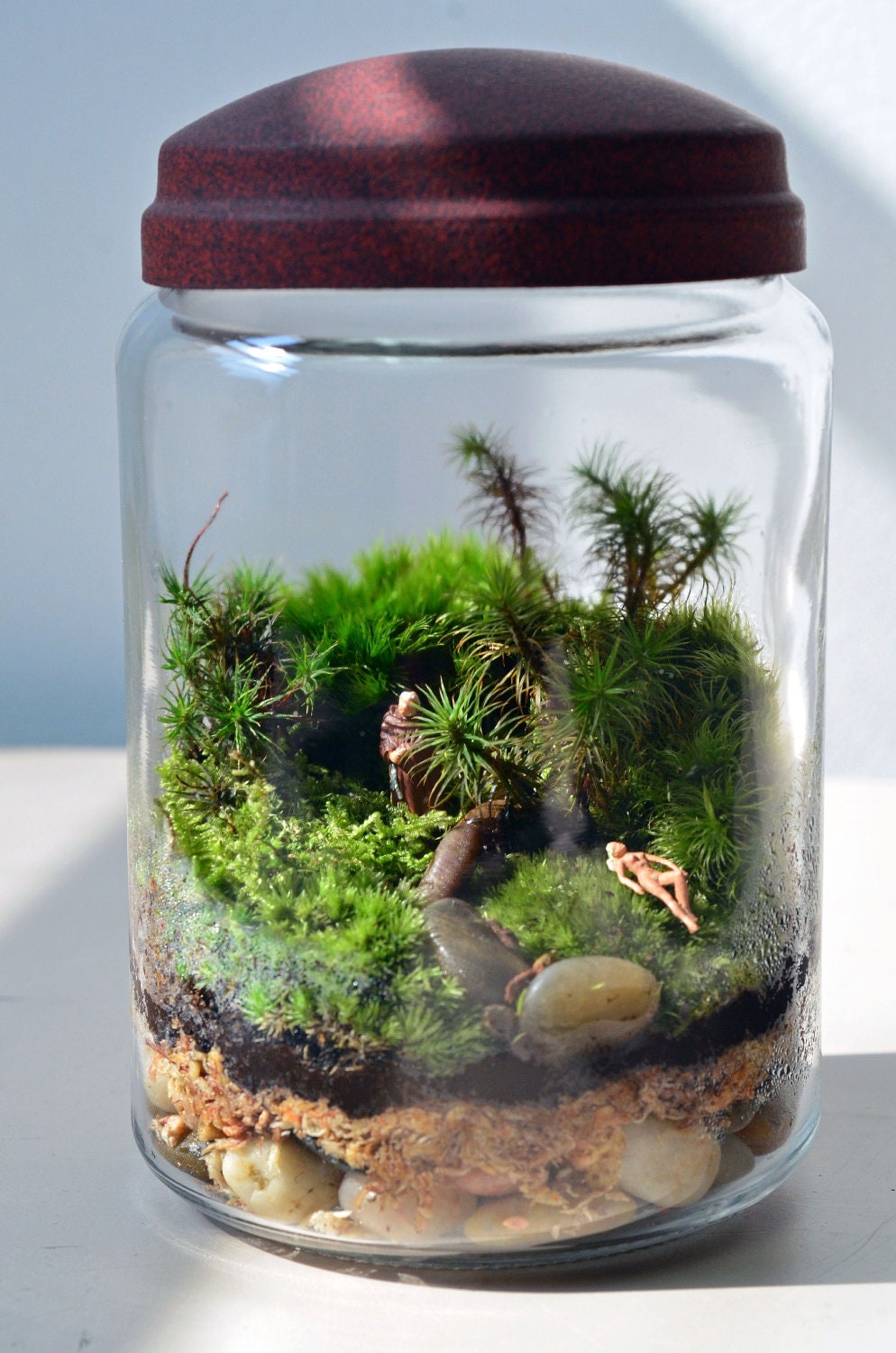 moss terrarium in glass jar with little figures by pinkserissa moss terrarium in glass jar with little figures by pinkserissa