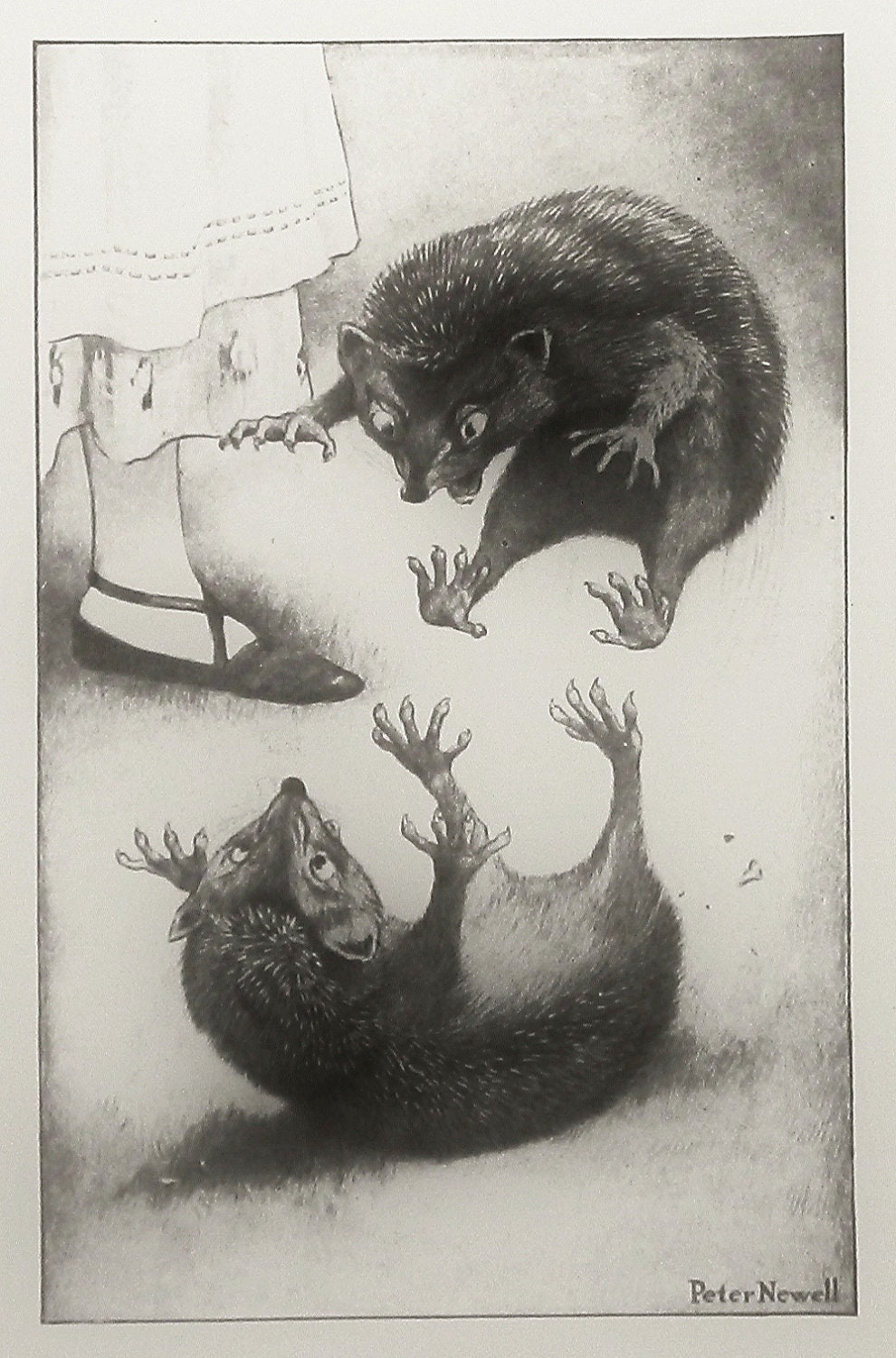 Vintage Alice in Wonderland Print: Hedgehog Fight (Wall Hanging Art Decor to Frame) Brother Sister Black White Nursery, Peter Newell No. 145