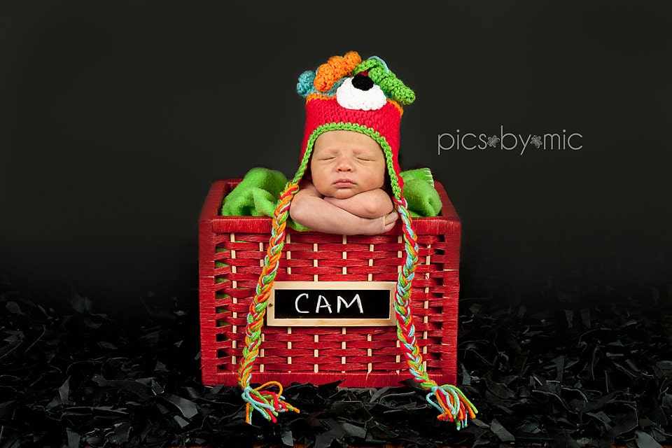 Baby Newborn Monster Beanie Hat Crochet Made to Order Photo Prop Earflaps