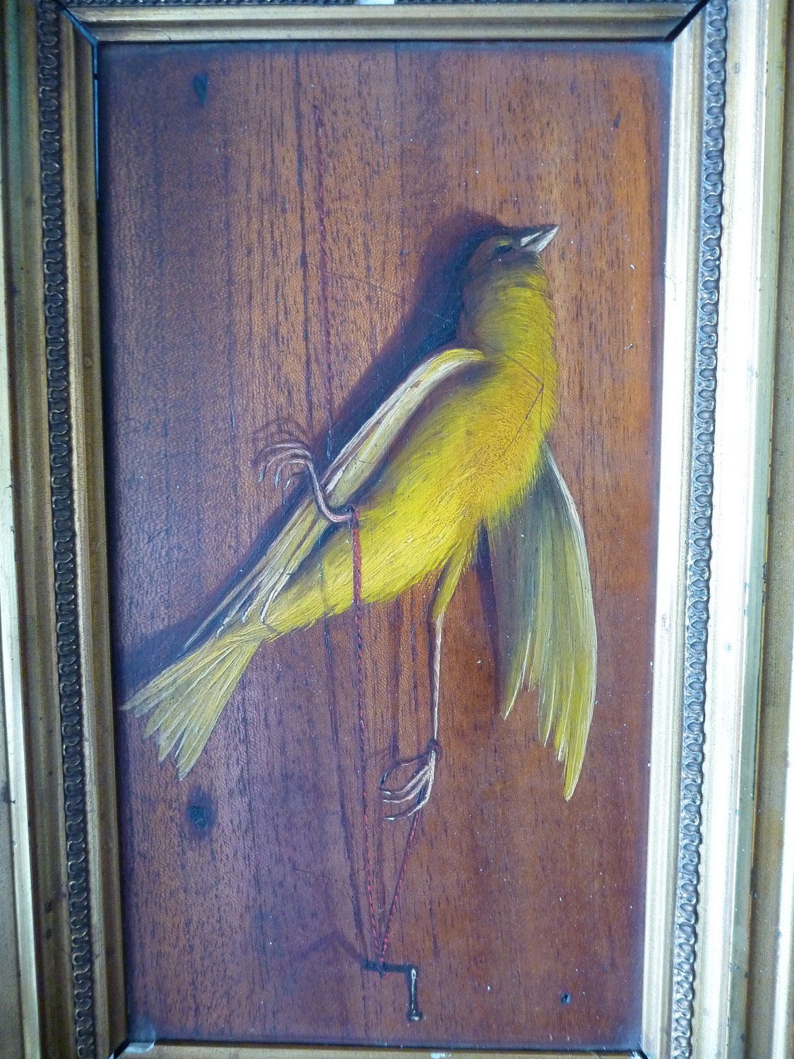 19th Century French Painting of a Bird, Nature Morte