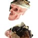Strawberry Skull Resin Candy