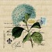 Vintage postcard blue hortensia flower crown fleur de lis Digital download for Iron on fabric transfer burlap decoupage pillows No. 479