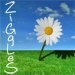 ziggles