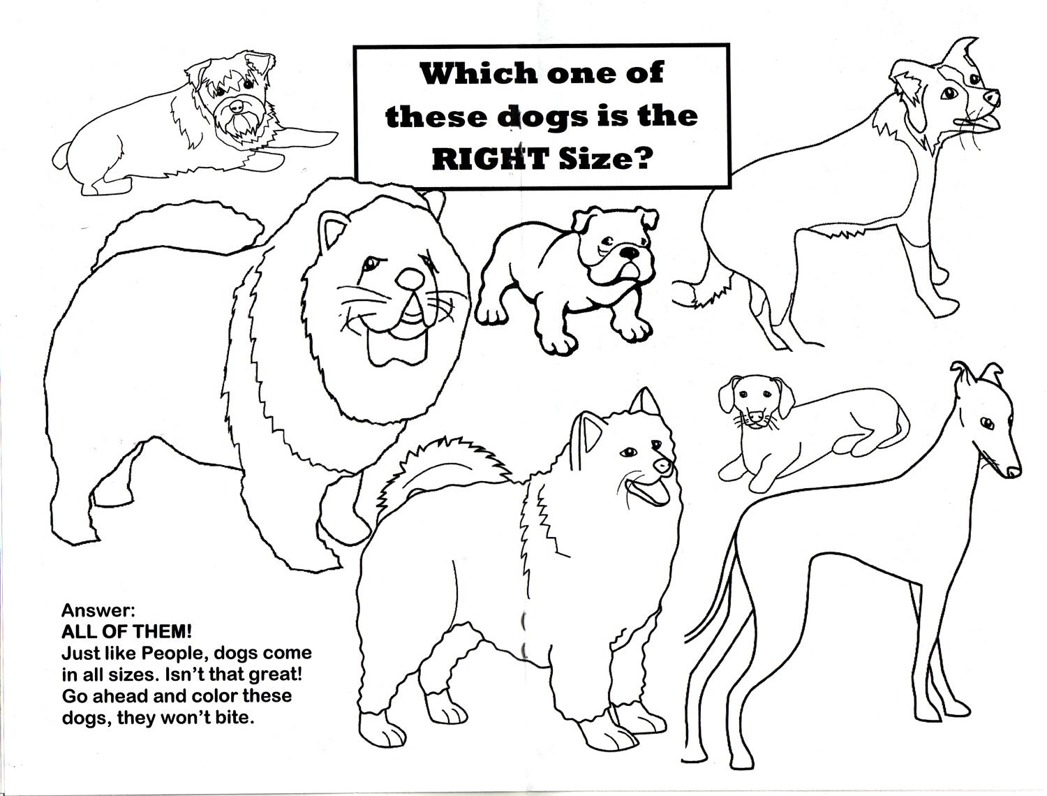 FIGURE 8 NO. 5 - The Rainy Day Activity Book