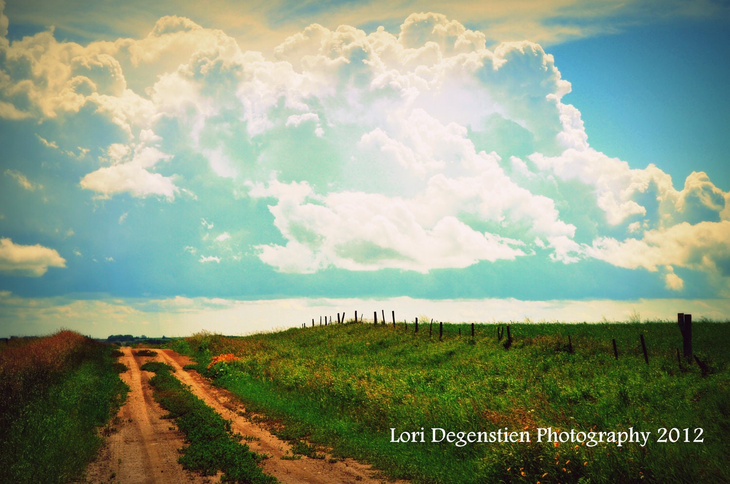 Off The Beaten Path Photo, 4x6 Print, Saskatchewan Landscape