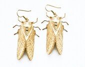 cicada - oversized brass insect earrings