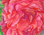 Original Pink Peony Watercolor Painting, Green Background, 11 x 15