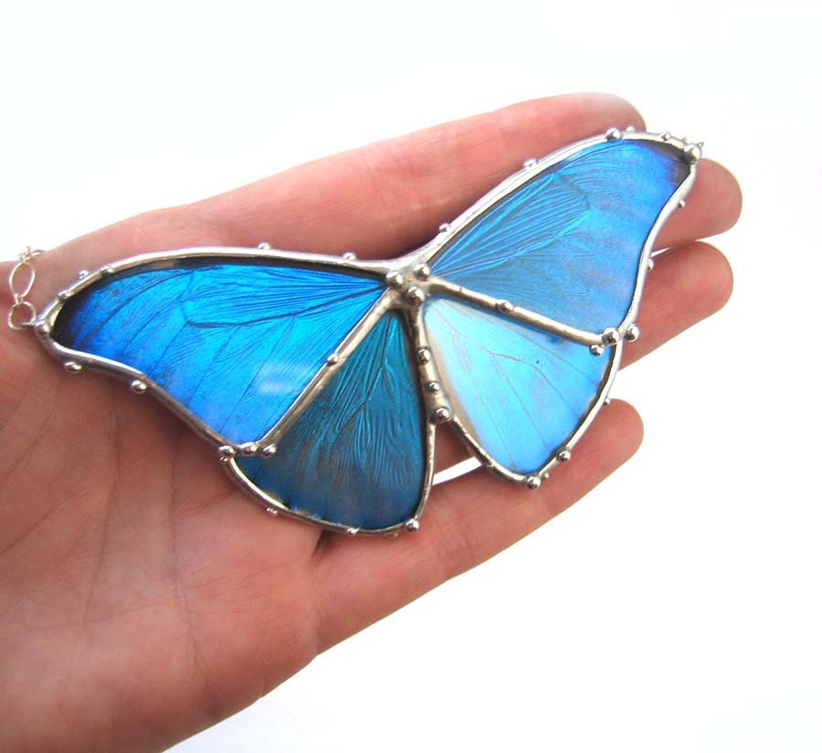 Blue Morpho Butterfly Necklace - Real Butterfly