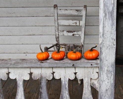 Orange Pumpkins Fine Art Photography 8x10 print rustic, cabin decor, halloween, thanksgivng, fall decor