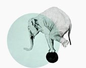 elephant print 8x10