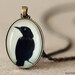 Crow Pendant - Gothic Jewelry - Wearable Art - Photo Pendant - Glass Pendant - Antiqued Brass Necklace - Raven Jewelry - Gothic Necklace