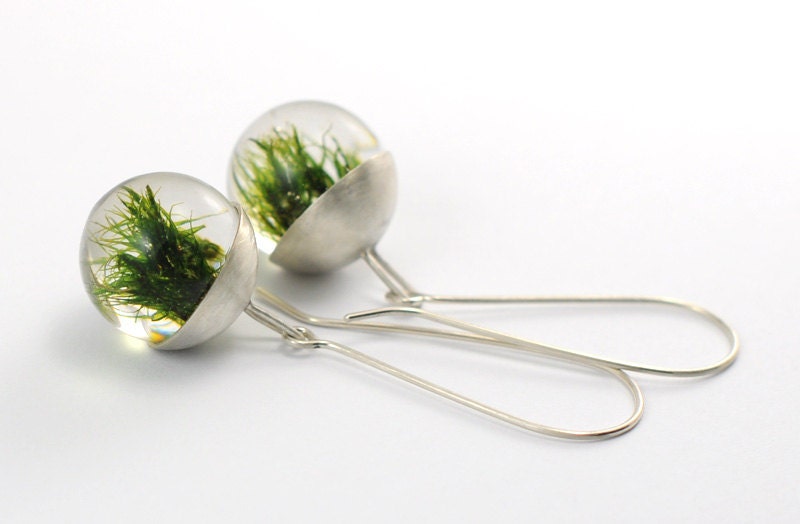 Green Moss Earrings, Modern Clear Resin Rounds with Natural Moss and Silver Caps