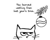 Angry Cat IV - Set of 8 Large Christmas Cards for Cat Lovers - Your Tree Will Not Last