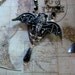 Vampire Bat Gothic Haute Rhinestone Necklace, Vintage Drop Glass Bead, Original Handmade Design