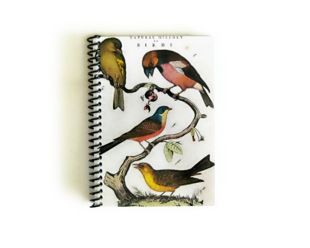 Natural History Birds - Notebook Spiral Bound - 4 x 6