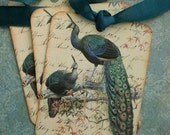 Bird Tags - Peacock Tags - Teal, Vintage Style Peacock Dreams - Set of 3