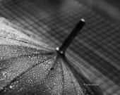 About the Rain - 5x7 inches Fine Art Photograph - rain image in black and white - signed limited edition - VaidaPhoto