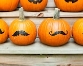 Pumpkin mustache stickers, no carve jack o lantern, Halloween decoration, set of 4 - saralukecreative