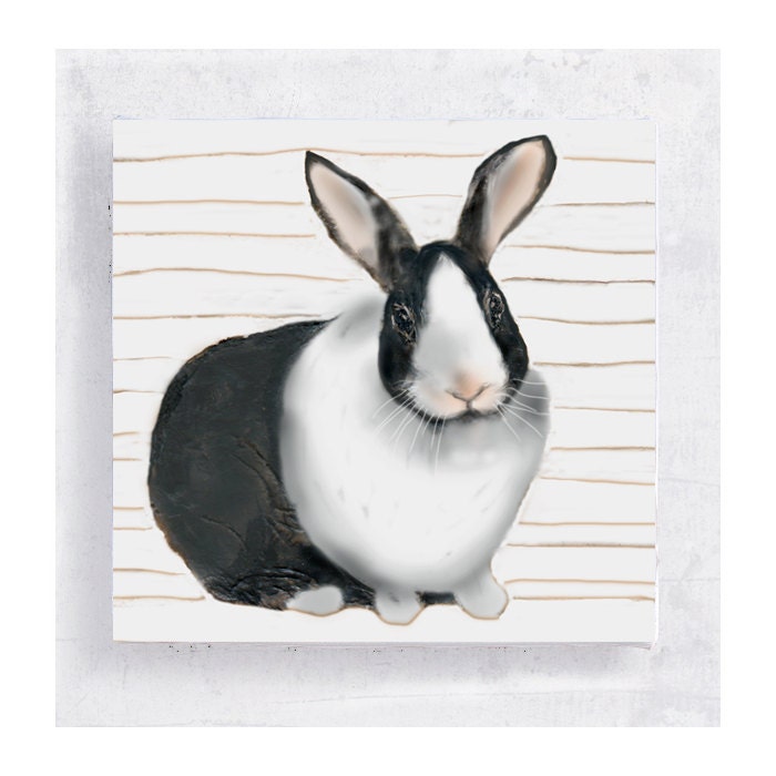 Dutch Rabbit on 5x5 Canvas Print Block  - Where's Alice - Animal Portrait - Wall Art - Nursery Art
