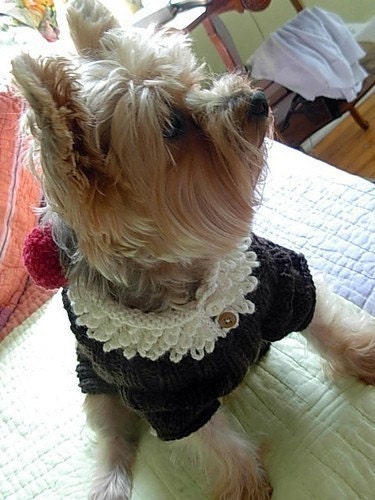 ROOT BEER FLOAT Original Dog Sweater -- Custom Hand Knit -- All Sizes