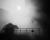 Foggy Country Sunrise 11 x14 Black and White Landscape Photograph