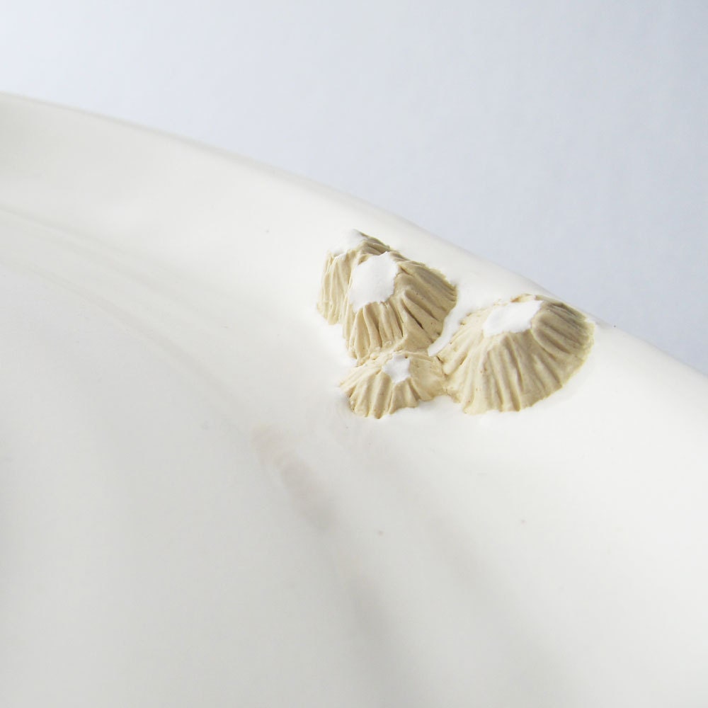 Small Plate in White with Barnacle