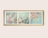 Flower Wall Decor, Three Abstract Flower Photographs, Botanical Still Life, Floral Art Print, Nature Photography