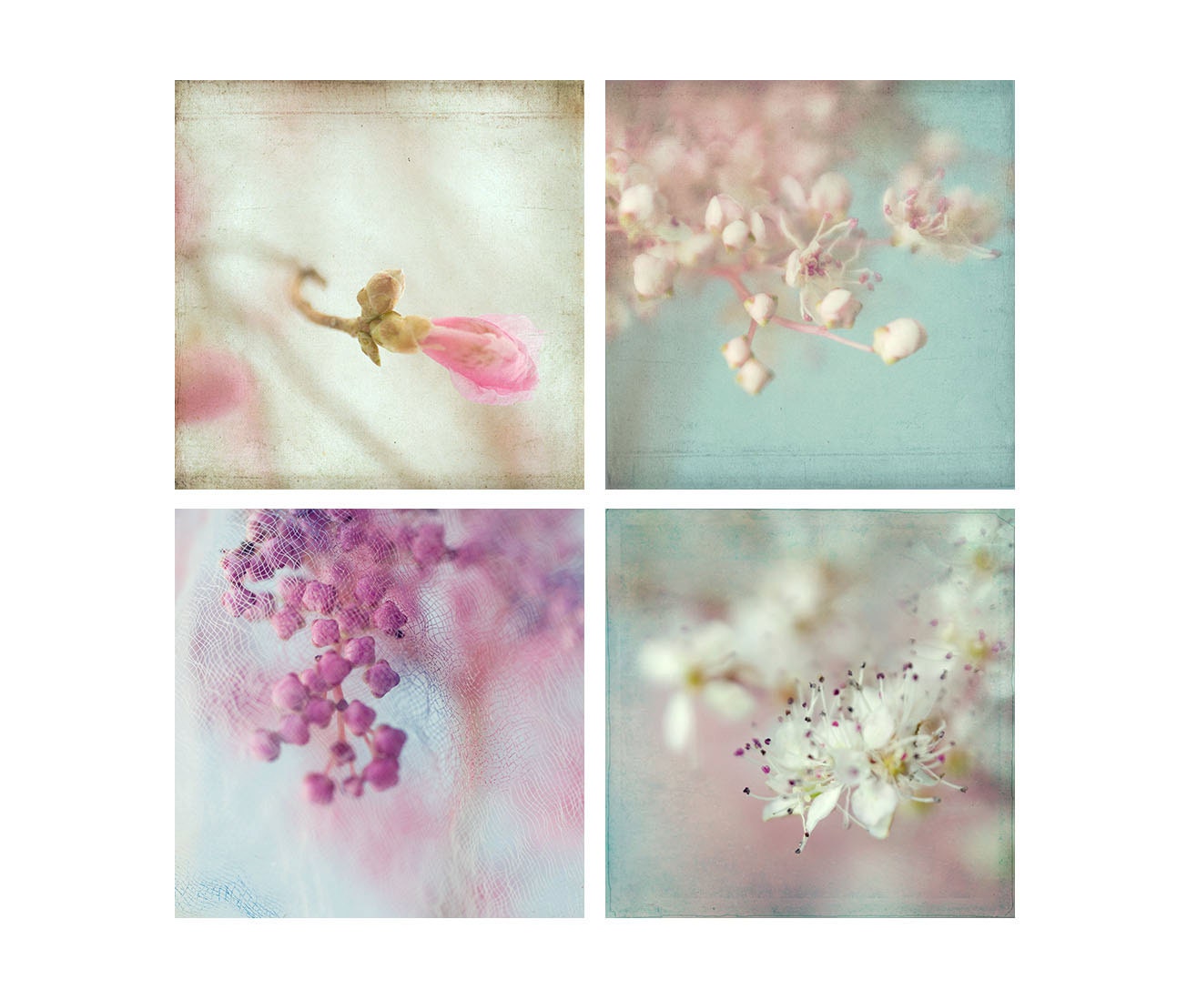 Four Botanical Prints, Flower Photographs,   Floral Art Prints, Abstract  Wall Decor, Macro Still Life