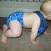 Large Fitted Cloth Diaper - Aliens Side Snapping 14 - 40lbs 3 4 5 6 Monsters BumbleBee Bottoms Boutique