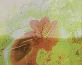The flowers for the trees