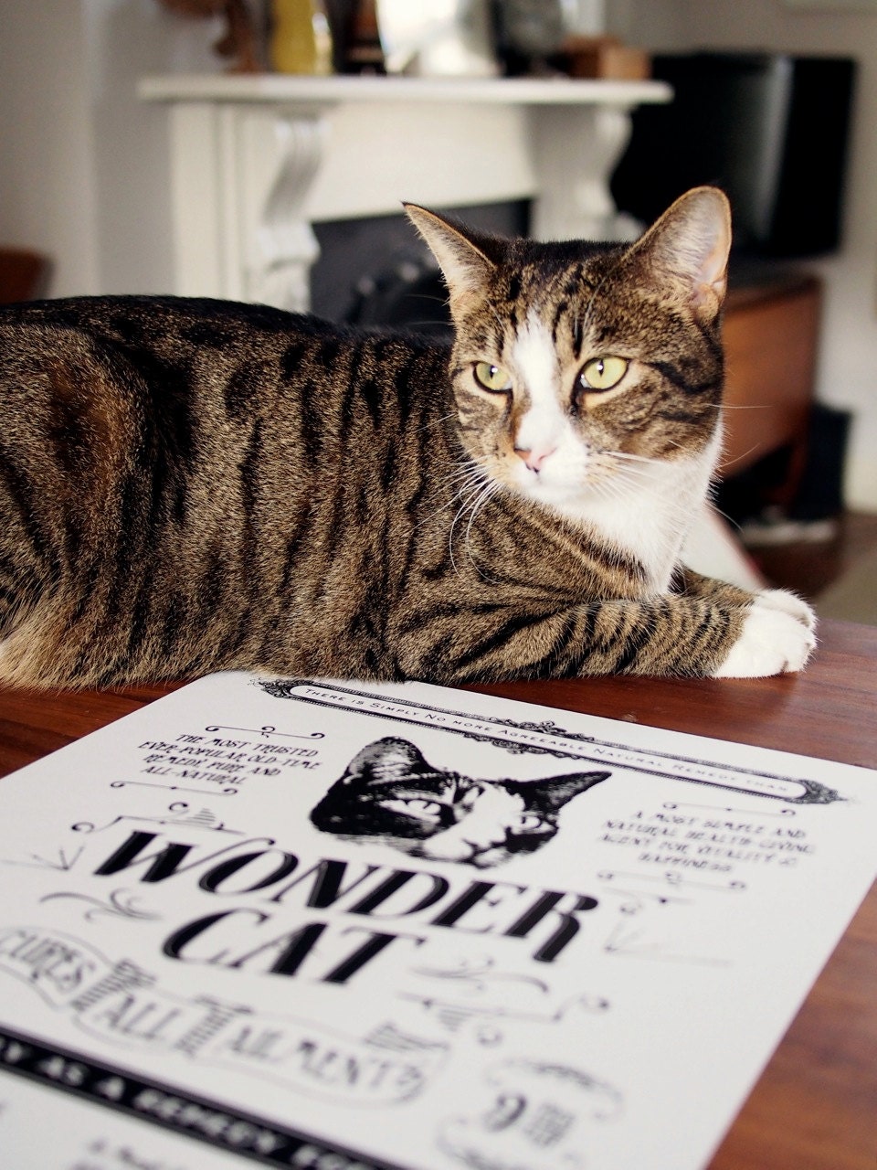 Wonder Cat  - Vintage style screenprint poster